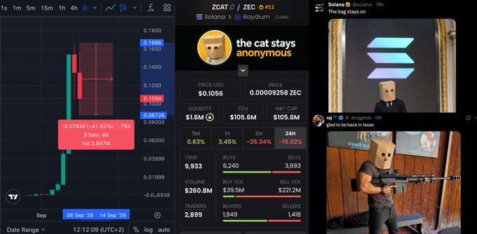 The image shows a TradingView chart of ZCAT/ZEC displaying a sharp 57.63% price drop with -$7.93 (-26.34%) change, alongside Solana posts referencing "the cat stays anonymous" and bag-character content—visually illustrating the poster's warning that large-cap meme coins often crash after hitting $100M+ market caps.