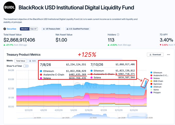 A dashboard for the 'BlackRock USD Institutional Digital Liquidity Fund' (BUIDL) showing a total asset value of $2,868,917,406 and 113 holders, with a chart highlighting a +125% increase in total value from July 8 to July 10 across Ethereum, Avalanche C-Chain, and Solana.