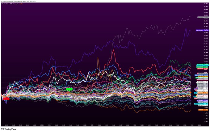The image displays a TradingView chart titled "WLY_pewpew created with TradingView.com" showing numerous overlaid stock tickers' percentage performance, with most lines trending upward throughout the day, ending in positive territory on the right side. This supports the post's sentiment about not fading $Useless, as the ticker appears to be among the top performers, showing a strong upward trend (highlighted near the top) that justifies the bullish enthusiasm.