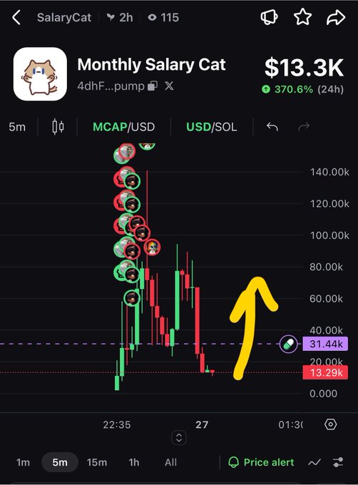 A crypto price chart screenshot shows the 'Monthly Salary Cat' token at $13.3K, with a green 370.6% 24-hour increase and a hand-drawn yellow arrow pointing upward.