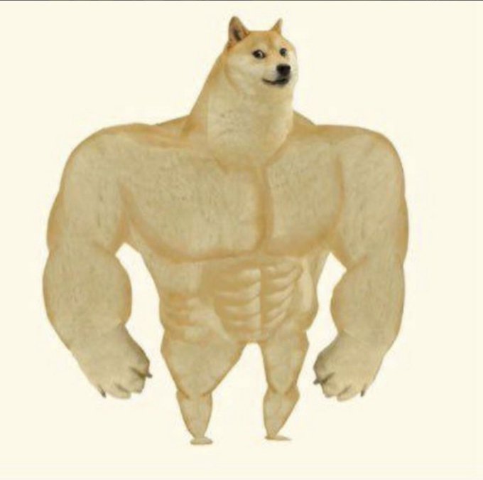 A muscular, bodybuilder-style Shiba Inu dog—commonly known as the "Doge" meme—stands with exaggerated human-like muscles and a confident smirk, humorously personifying the post's reference to the "(Former) Doge."