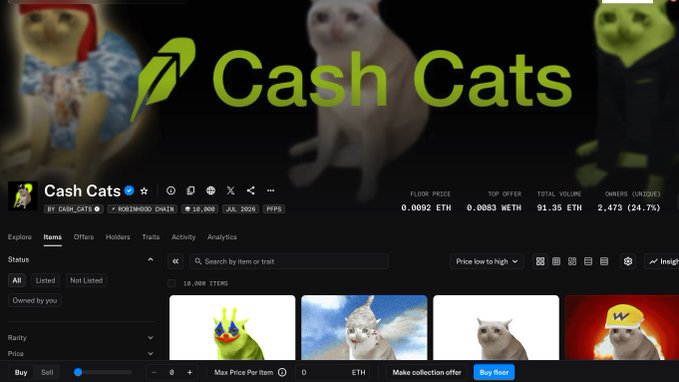 An OpenSea NFT marketplace page for "Cash Cats" on the BoringDAO Chain, showing a floor price of 0.0002 ETH, a top offer of 0.0003 ETH, and a collection of 10,008 items featuring various cat images.