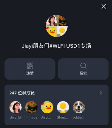 A group chat interface titled 'Jiayi朋友们#WLFI USD1专场' showing 247 members including Jiayi Li, mmeca, Jiayi..., Shan..., and eddie...