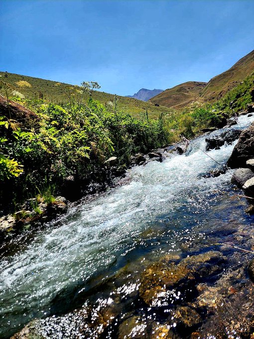 A bright, sunny landscape photograph showing a clear mountain stream cascading over rocks, surrounded by green hillsides under a deep blue sky.