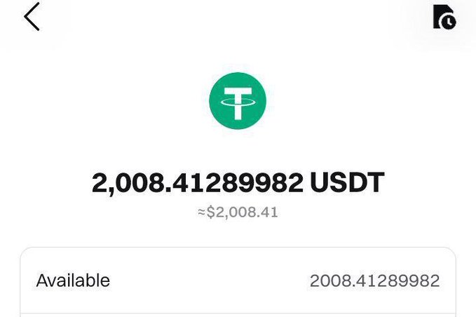 A cryptocurrency wallet screenshot displays a balance of 2,008.41289982 USDT (approximately $2,008.41) with the Tether (USDT) logo shown.
