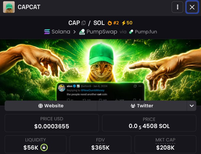 The image shows a cat wearing a green hat, with its head tilted upwards as if looking at something or someone. The caption of the image reads "Press like if you're holding $CAP Ca: 8Zrbh9DJFgY5H6jqZb3CWeMF6wLGMHiDKvkK4qSTpump". This post is about a cat wearing a green hat, and it's related to the hashtag #capsat. The image also contains text that says "CAP Ca: 8Zrbh9DJFgY5H6jqZb3CWeMF6wLGMHiDKvkK4qSTpump".