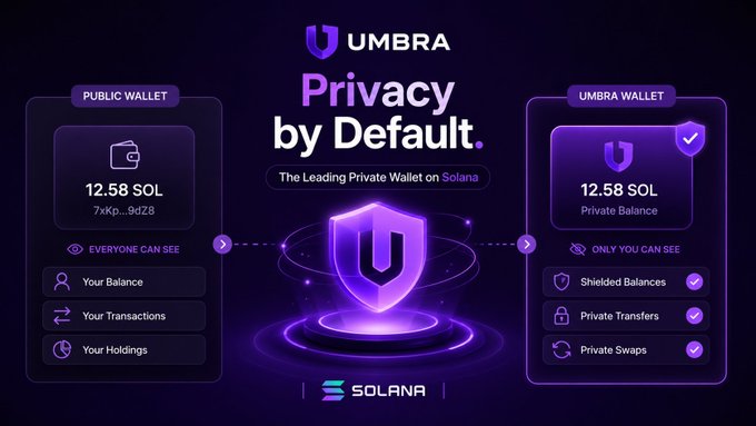 A promotional graphic for Umbra, advertised as 'The Leading Private Wallet on Solana', comparing a public wallet showing 12.58 SOL 'EVERYONE CAN SEE' to a private wallet where 'ONLY YOU CAN SEE' features like Shielded Balances, Private Transfers, and Private Swaps.