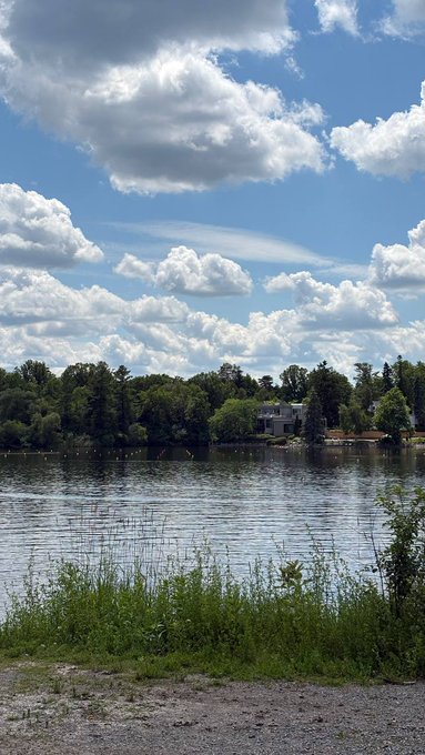 A peaceful lakeside scene with calm water, green trees along the far shore, houses nestled in the foliage, and a bright blue sky filled with white clouds.