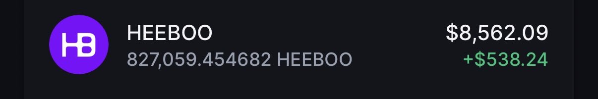 A cryptocurrency portfolio display showing HEEBOO token with a balance of 827,059.454682, valued at $8,562.09 with a gain of +$538.24, accompanied by a purple HB logo.