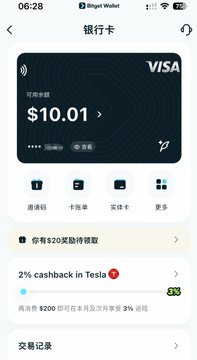 A mobile wallet screenshot in Chinese showing a Visa credit card with a balance of $10.01, featuring a promotion for "2% cashback in Tesla."