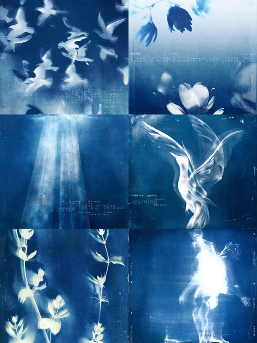 A cyanotype-style six-panel artwork featuring white silhouettes of birds, flowers, light rays, and ethereal figures against a deep blue background, with the words 'hold me gently learning' visible.
