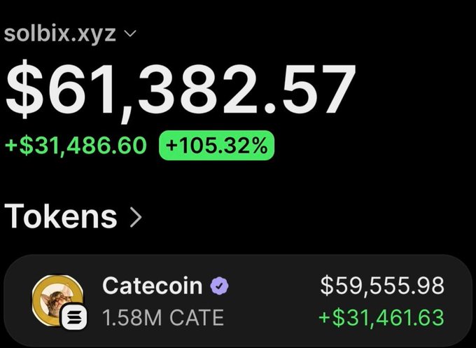 The image shows a portfolio screenshot for wallet "solbix.xyz" displaying $61,382.57 total value with a +$31,486.60 (+105.32%) gain, driven primarily by a 1.58M Catecoin ($CATE) position worth $59,555.98 (+$31,461.63). The caption ties to the post's claim of turning $3,450 into over $63,000 in profit on $CATE.