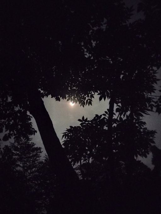 The moon glows softly through silhouetted tree branches against a dusky twilight sky, capturing a peaceful, quiet end to the day. The serene nighttime scene perfectly complements the heartfelt "good night all lovely people, see you tomorrow" message.