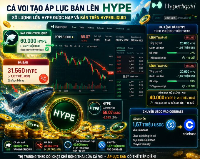 A Vietnamese crypto infographic about HYPE on Hyperliquid, showing 60,000 HYPE deposited, 31,560 HYPE sold, two TWAP orders totaling 40,000 HYPE, and 1.67 million USDC transferred to Coinbase.