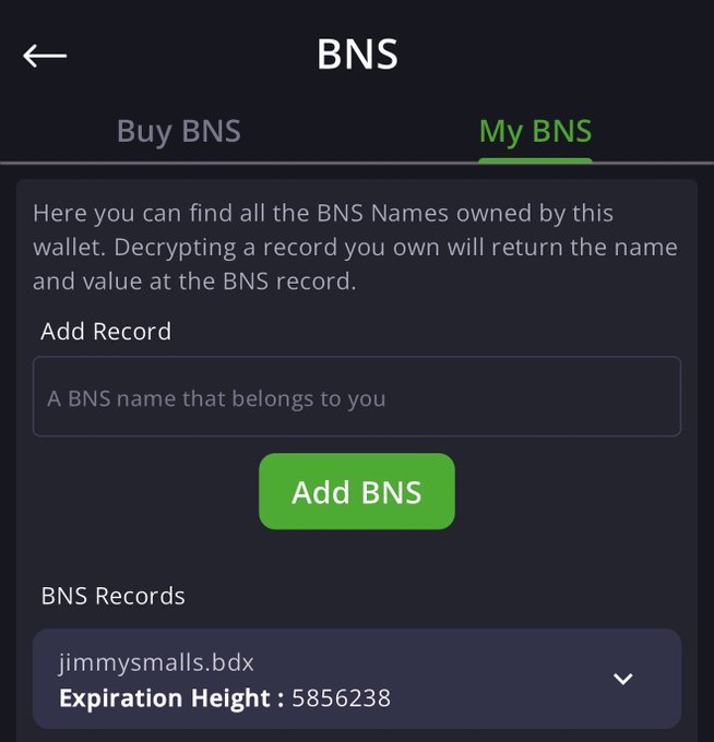 Mobile app screenshot showing the BNS interface with 'My BNS' tab selected, containing an 'Add Record' field, an 'Add BNS' button, and a record entry for 'jimmysmalls.bdx' with Expiration Height: 5856238.