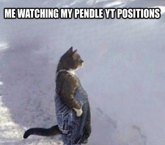 A meme showing a cat standing upright on its hind legs wearing blue denim overalls on a sandy beach, with the caption 'ME WATCHING MY PENDLE YT POSITIONS'.