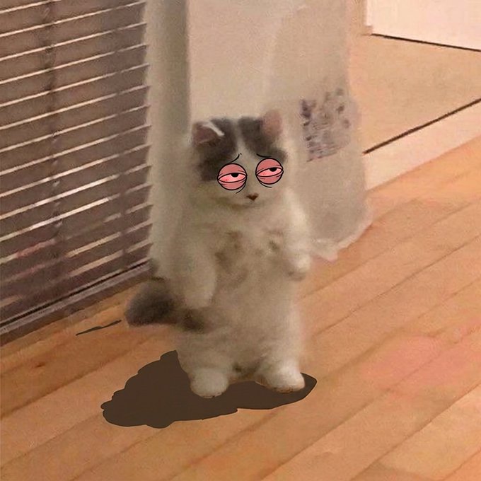 A blurry photo of a small gray and white kitten standing on its hind legs with cartoon tired/half-closed eyes drawn over its face, positioned on a wooden floor near curtains.