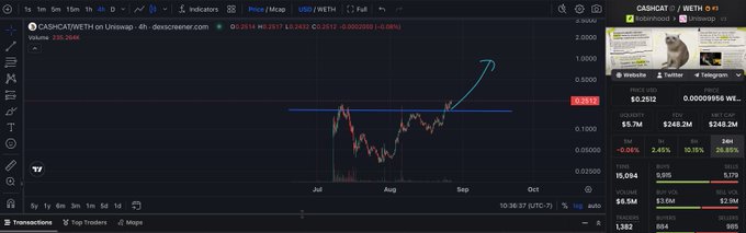 A TradingView chart of $CASHCAT/USDT on Uniswap shows the token's price trend from July through September, with an upward arrow suggesting a bullish breakout toward the $1B market cap target highlighted on the right panel. The post reflects on the rapid price appreciation, noting the analyst may have underestimated how quickly the token would reach that milestone.