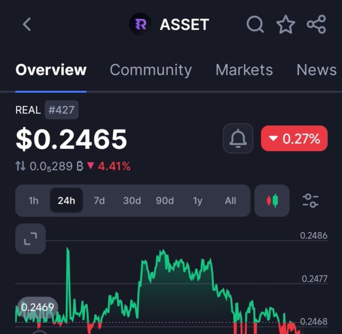 Cryptocurrency price tracking screen for the ASSET REAL token (#427), showing a current price of $0.2465 with a 4.41% decline on the 24h chart.