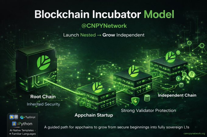 A promotional graphic for the 'Blockchain Incubator Model' by @CNPYNetwork, showing the progression from Root Chain with inherited security to Appchain Startup and Independent Chain, with strong validator protection and branding for IPython.