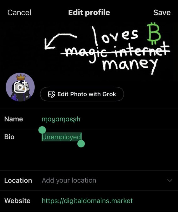 An X (formerly Twitter) 'Edit profile' screen for user 'mayamaestr' with bio 'Unemployed' and website 'https://digitaldomains.market', featuring hand-drawn doodles about 'magic internet money' and a Bitcoin symbol.