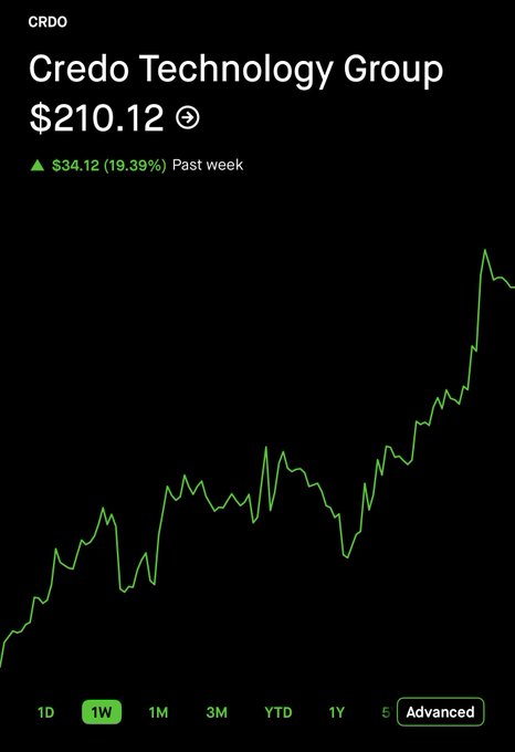 A Robinhood stock chart shows Credo Technology Group (CRDO) at $210.12, up $34.12 (19.39%) over the past week, with a steep upward trend line reinforcing the post's celebration of investors being rewarded for buying the "dip."