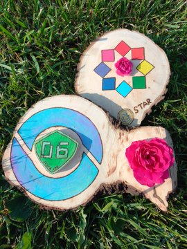Two wood slices on grass, one hand-painted with a Pokéball design labeled '06' and the other with colorful geometric shapes and a pink rose, marked with STAR branding.
