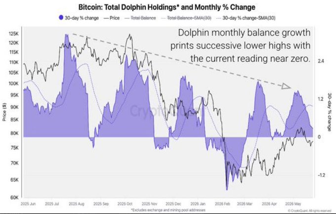 The image shows a chart with Bitcoin and the price of Bitcoin going through two distinct phases. On one side of the graph, there's a downward trend in Bitcoin prices from September to February, as indicated by the downward sloping line during this period. On the other side, there's an upward trend, as shown by the upward sloping line from January to November. These trends are depicted with purple and green lines respectively on the graph. 

The post also explains a term called "dolphins", which refers to Bitcoin holders who have been successful in balancing their positions near the current high price of Bitcoin. The chart displays that these dolphin balances, as well as whale balances (opposite of dolphins), have been consistently lower than before January 2015 and since September 2016, reflecting that more and more Bitcoins are being bought by whales instead of dolphins at present time.
