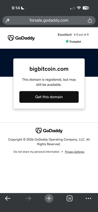 A GoDaddy domain page shows "bigbitcoin.com" is registered but possibly available, with a Trustpilot rating of 4.5 out of 5. The image ties to the post's play on words—suggesting "Big Bitcoin" is "controlling" the bigbitcoin.com domain, just as the site controls its own listing.