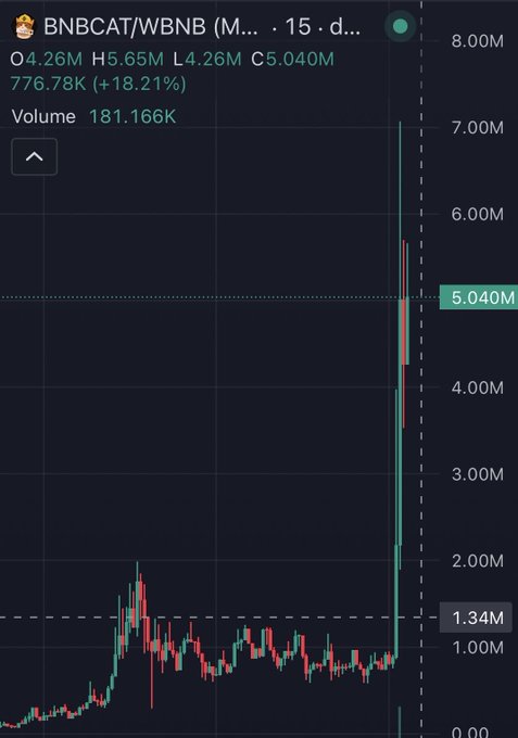 A 15-minute candlestick chart shows the BNBCAT/WBNB pair surging from ~1.34M to a high of 5.65M (+18.21%), illustrating the explosive price action of the cat-themed token on Binance's network following the push to list cats on the exchange.
