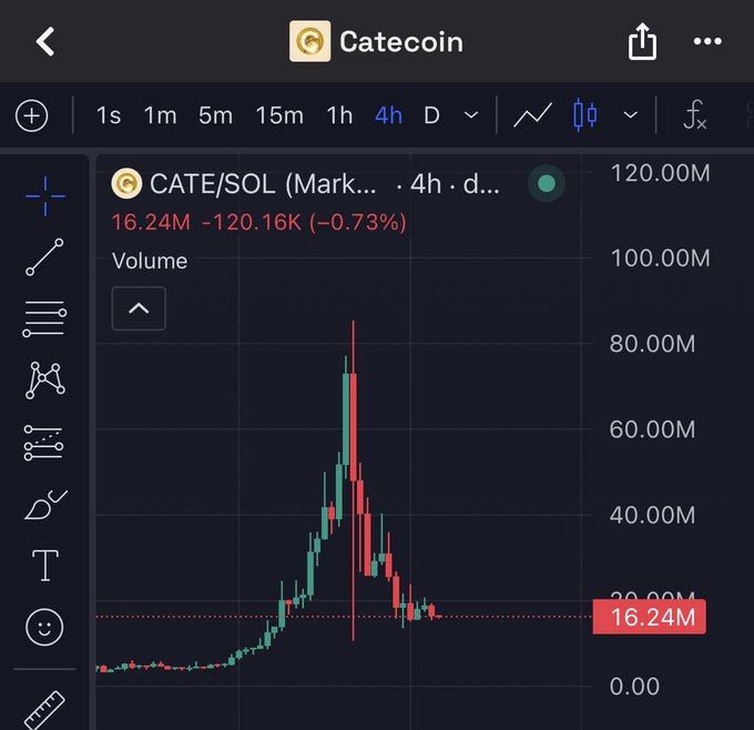 A 4-hour candlestick chart of CATE/SOL (Catecoin) shows a dramatic price spike to around 80M followed by a steep crash, with current volume at 16.24M and the token down 0.73% at 120.16K. The chart humorously illustrates the "rug pull" the poster is lamenting, as Catecoin's price action delivered the opposite of the promised dogecoin-like gains.
