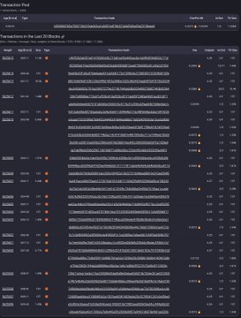 The image shows a dashboard titled "Transaction Pool" displaying rows of alphanumeric transaction hashes, likely representing Beldex (BDX) blockchain network activity, which visually supports the post's claims about the network's 2,961 active masternodes by showing the ongoing transaction pool where these nodes process and secure transactions.