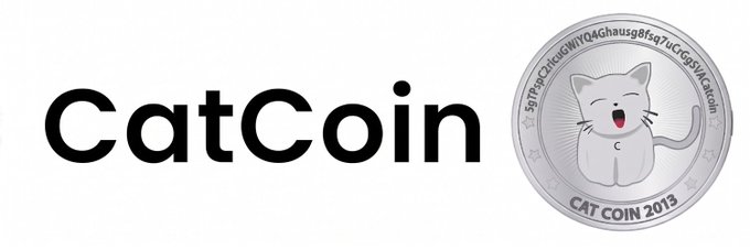 A logo for 'CatCoin' displayed in bold black text alongside a silver coin featuring a cartoon cat design labeled 'CAT COIN 2013'.