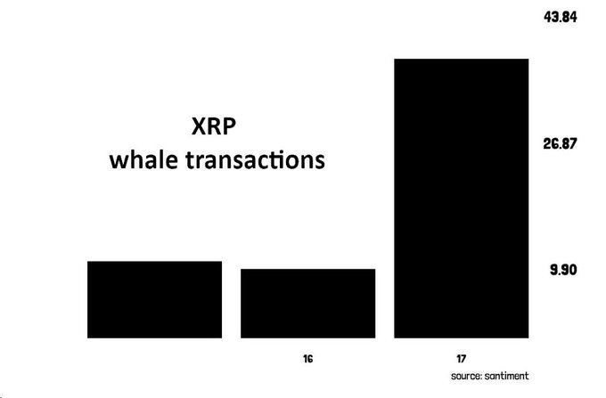 The chart from Santiment shows a dramatic spike in XRP whale transactions on August 17, with activity surging to 43.84 compared to just 9.90 on August 16, illustrating the surge in whale activity that accompanies XRP's price movement near the $1 level.