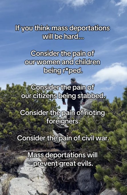 A person stands on a rocky hillside beneath a blue sky, overlaid with a political message advocating for mass deportations by referencing 'pain of our women and children being r*ped' and 'citizens being stabbed.'
