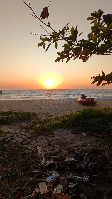 A scenic sunset over the ocean at a beach, with tree branches framing the top of the image and debris littering the sandy foreground.
