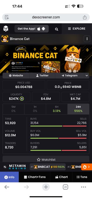 A Dexscreener page for Binance Cat ($BNBCAT) showing a price of $0.004788 USD, $247K liquidity, and a 24-hour volume of $12.0M with 53,920 transactions, supporting the post's claim of high trading activity ahead of a rumored Binance Alpha listing.