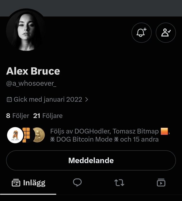 Screenshot of an X (Twitter) profile for 'Alex Bruce' (@a_whosoever_), joined January 2022, with 8 following and 21 followers, followed by DOGHodler and Tomasz Bitmap.
