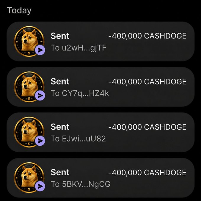A wallet transaction history showing four "Sent" entries of -400,000 CASHDOGE each to different Solana addresses (u2wH...gjTF, CY7q...HZ4k, EJwi...uU82, and 5BKV...NgCG), allegedly supporting the claim that $CASHDOGE airdrop distributions have been processed to recipients' Solana wallets.