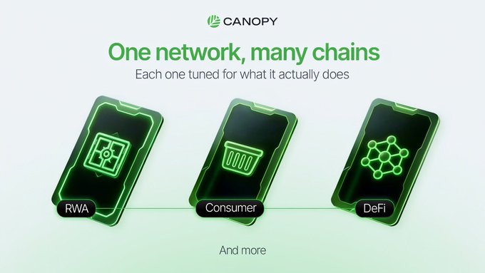 A CANOPY promotional graphic with green neon styling reading 'One network, many chains - Each one tuned for what it actually does,' showing three phone icons labeled RWA, Consumer, and DeFi.