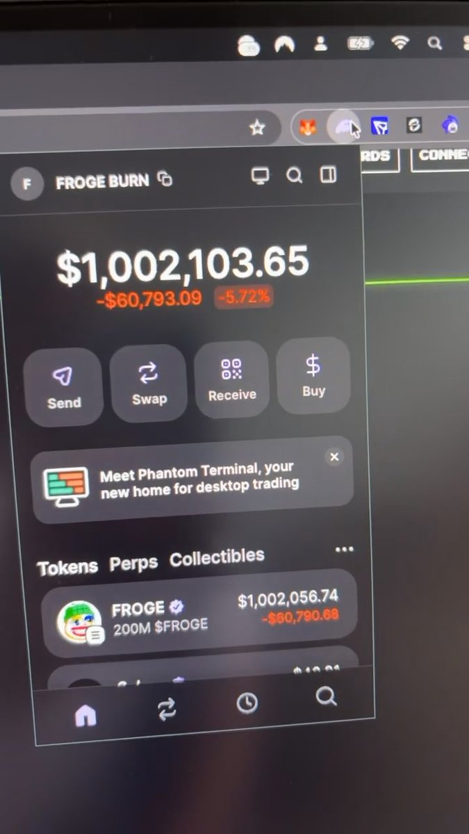 A screenshot of the Phantom crypto wallet showing a balance of $1,002,103.65 in a $FROGE Burn wallet, down 5.72% (-$60,793.09), commemorating the moment when the $FROGE meme coin community famously burned 1 million dollars worth of tokens.
