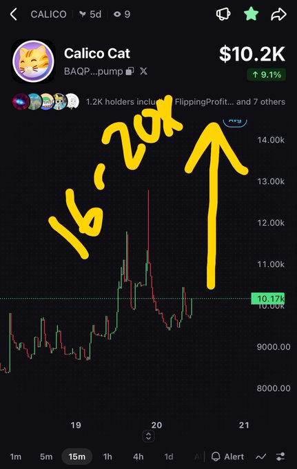 A cryptocurrency chart for 'Calico Cat' (BAQP...pump) on the Pump platform showing a current price of $10.2K with a 9.1% increase, annotated with '16-20k' and an upward arrow.