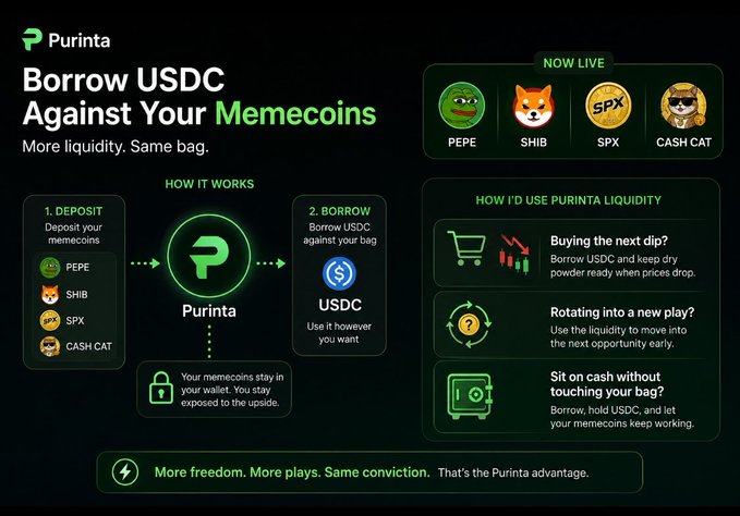 A promotional infographic for Purinta titled 'Borrow USDC Against Your Memecoins' explaining how to deposit memecoins (PEPE, SHIB, SPX, CASH CAT) to borrow USDC.
