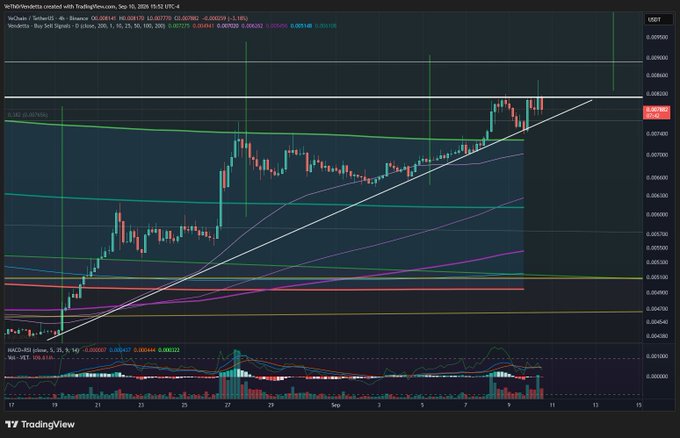 A TradingView 4-hour candlestick chart of VeChain (VET/USDT) shows the price testing a key descending resistance line near $0.0240 while trading below major moving averages (MA 5, 10, 20, 100, 200), with a MACD indicator at the bottom displaying bearish momentum—visually reinforcing the poster's message that VET is locked in a tense consolidation battle at resistance, awaiting a breakout.