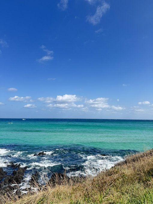 A scenic view of a turquoise ocean with gentle waves crashing against a rocky shore under a bright blue sky with scattered clouds, taken from a grassy cliff edge.