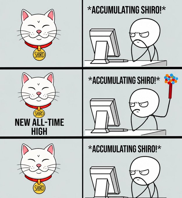 A comic strip shows a smiling white cat wearing a "SHIRO" collar tag on the left, paired with a frustrated stick figure repeatedly labeled "*ACCUMULATING SHIRO!*" who eventually celebrates with a party popper when the cat displays "NEW ALL-TIME HIGH." The meme illustrates the post's message about the importance of consistent accumulation over perfect timing, with the cat's unwavering smile contrasting the holder's dedication through price fluctuations.
