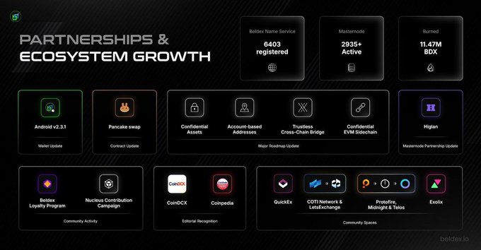 The image is an infographic from Beldex.io titled "Partnerships & Ecosystem Growth," showcasing metrics like 6403 Beldex Name Service registered domains, 2935+ active Masternodes, and 11.47M BDX burned, alongside ecosystem partners including Pancake Swap, CoinDCX, Coinpedia, Exodus, and Higen.

This visual reinforces the post's message by illustrating how Beldex is expanding beyond privacy transactions into a broader privacy-focused infrastructure ecosystem, with BChat, BelNet, and BNS domains forming part of a comprehensive suite designed to protect user data across online activities.