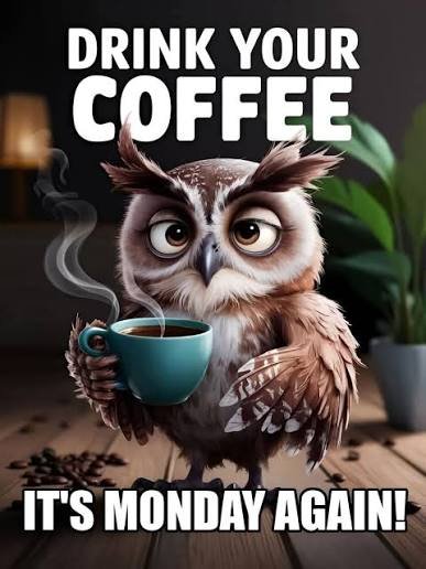 A humorous graphic features an owl holding a teal coffee mug, accompanied by the text "DRINK YOUR COFFEE" and "IT'S MONDAY AGAIN!".