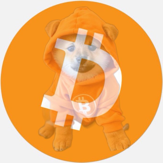 A Shiba Inu dog wearing an orange Bitcoin-themed hoodie, with a translucent white Bitcoin symbol overlaid on an orange circular background.
