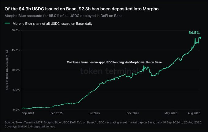 A line chart titled 'Of the $4.3b USDC issued on Base, $2.3b has been deposited into Morpho' showing Morpho Blue's share of all USDC issued on Base rising to 54.5% by August 2026, sourced from Token Terminal.